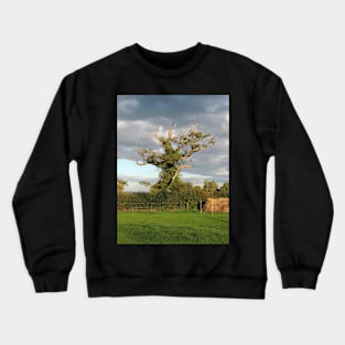 Good Old Somerset Tree Crewneck Sweatshirt